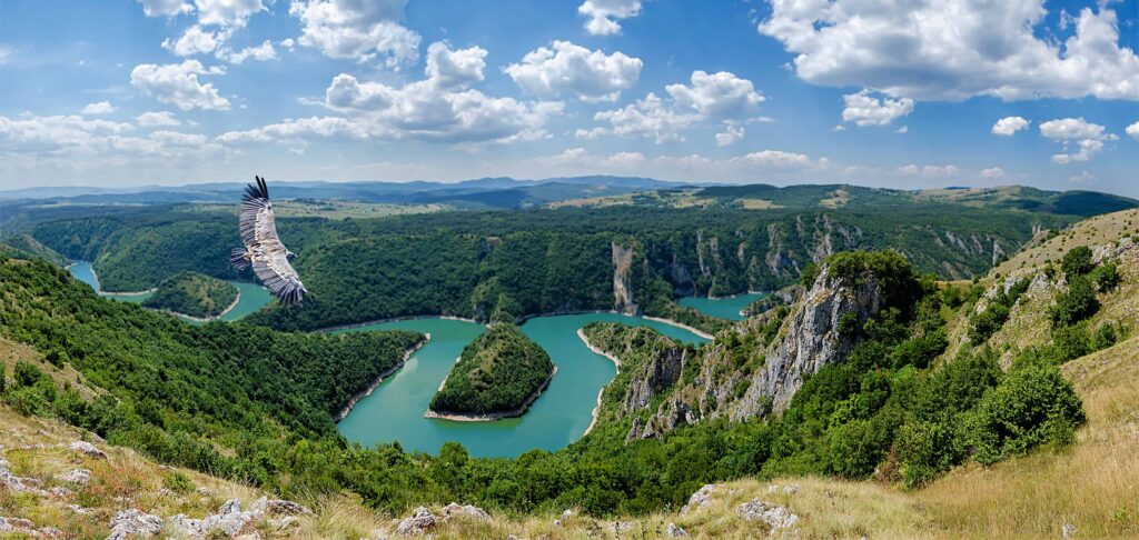 Panorama view of Uvac canyon and river with an flying eagle