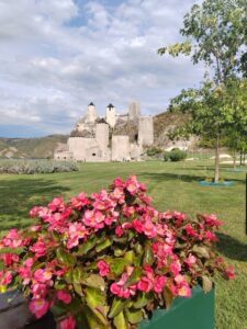 Golubac Fortress in Serbia with colorful flowers in the foreground and a scenic landscape