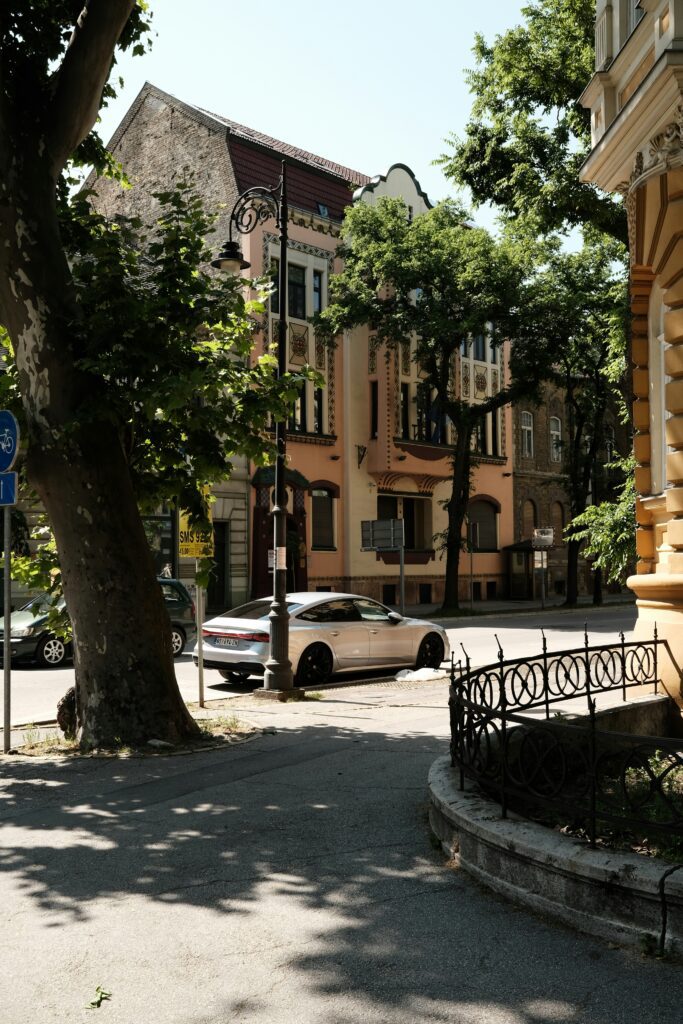 Things to do in Serbia: Street view with trees and Art Nouveau buildings in Subotica