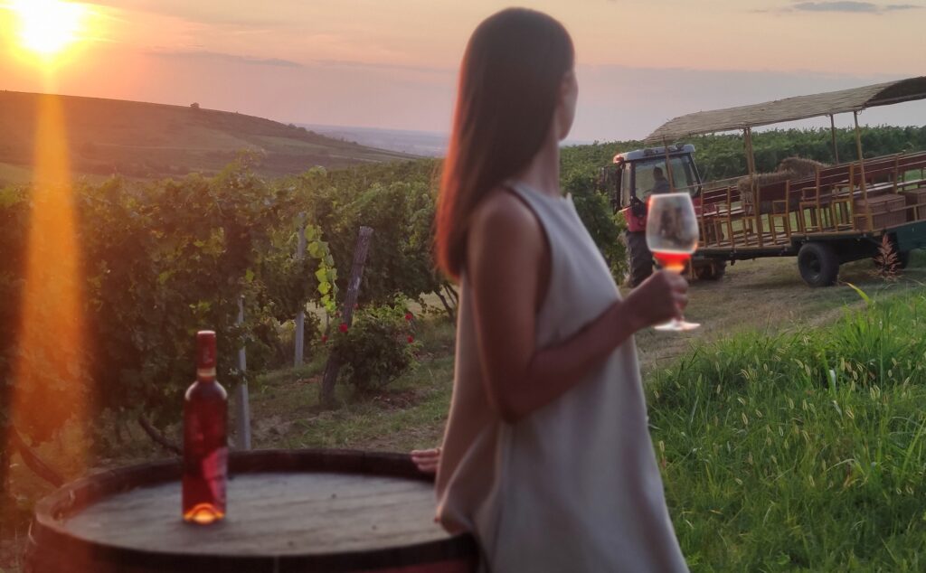 Woman enjoying wine tasting at sunset in Fruška Gora vineyards, Serbia